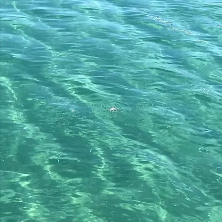 Izmir/ozdere Deniz Ve Orman Manzarali Ev شقة